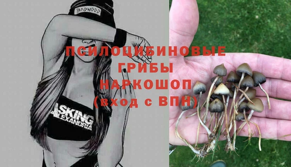Альфа ПВП Семёнов