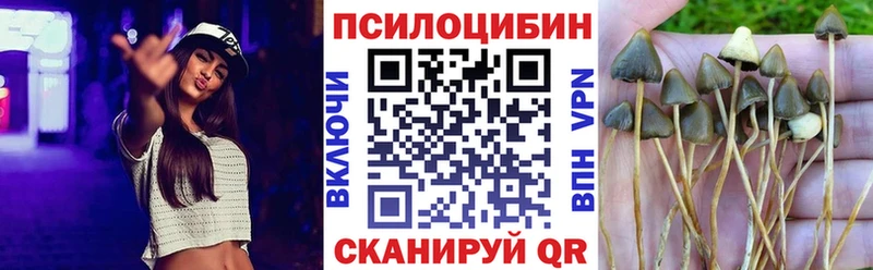 Псилоцибиновые грибы MAGIC MUSHROOMS  Буй 